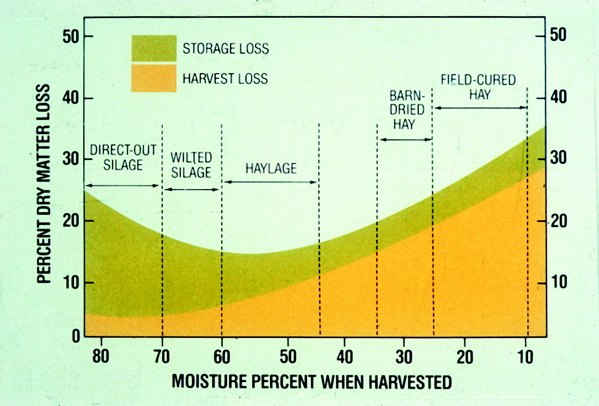 Fig. 2. Dry matter losses related to the preservation technology.